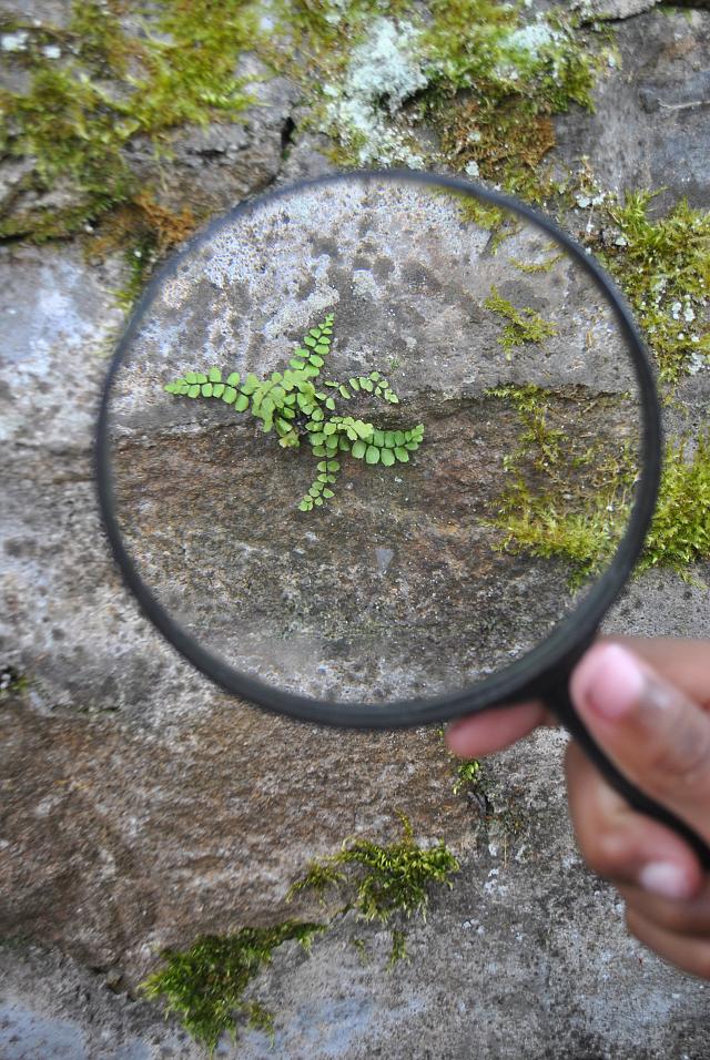 Inspiration pour l'atelier peintures naturelles avec les enfants