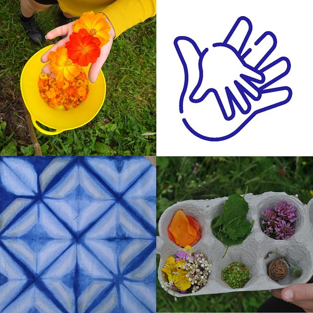 Ateliers créatifs autour de la laine et des couleurs naturelles pour Adulte-Enfant