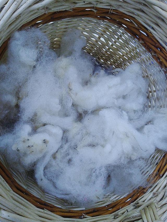 Laine blanche pour stage de feutre à l'eau et au savon