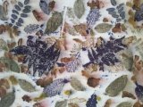stage teinture naturelle ecoprint à adn laine, pressy sous dondin, bourgogne