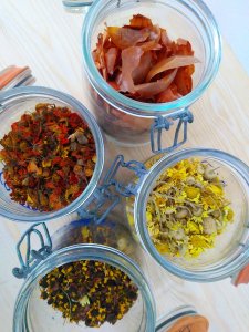 atelier d'impression végétale, teinture ecoprint