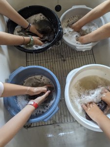 Ateliers feutre pour enfant à ADN Laine à Pressy sous Dondin (71220) en Bourgogne du Sud