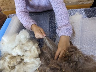 Ateliers feutre pour enfant à ADN Laine à Pressy sous Dondin (71220) en Bourgogne du Sud