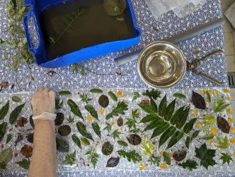 Cours ecoprint et tataki-zomé à l'atelier ADN Laine, 71220 Pressy Sous Dondin, en bourgogne du Sud