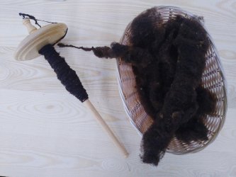 Fuseau et laine noire du velay pour atelier filage avec les enfants