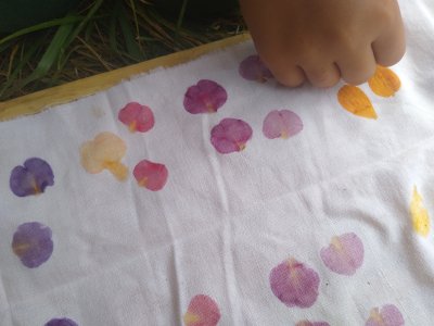 Pétales de fleurs pour frappage de plantes, Hapazome ou tataki-zomé 