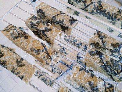 frappage de plante ou impression botanique