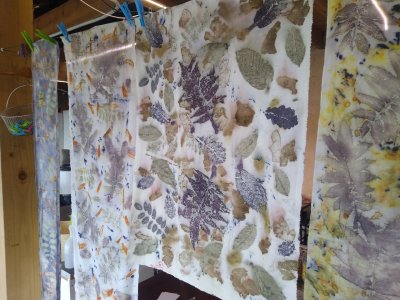 stage teinture naturelle Ecoprint à ADN laine en Bourgogne du Sud