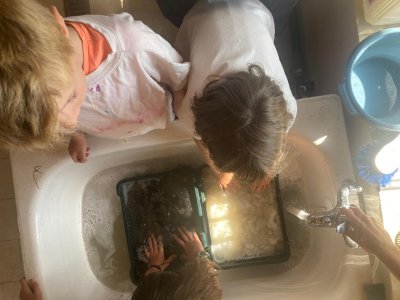 Atelier lavage de laine de mouton pour enfant à ADN Laine, 71220 Pressy Sous Dondin, en Bourgogne du Sud