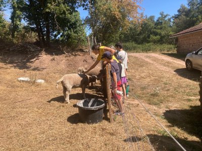 Atelier lavage de laine de mouton pour enfant à ADN Laine, 71220 Pressy Sous Dondin, en Bourgogne du Sud