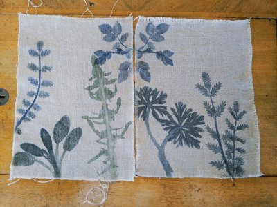 frappage de plante ou impression botanique