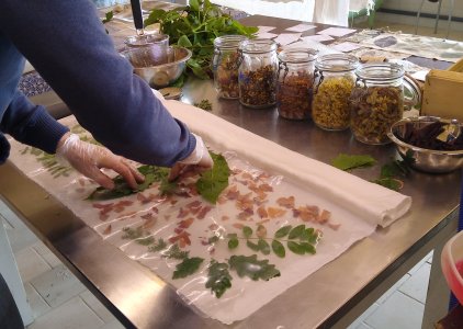 stage teinture naturelle Ecoprint à ADN laine en Bourgogne du Sud