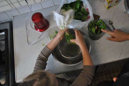 Fabrication d'encre végétale avec les enfants