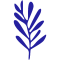 logo_stage41