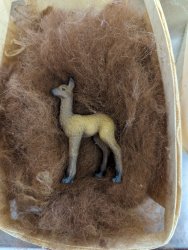 laine alpaga, Stage de feutre, à ADN Laine, 71220 Pressy Sous Dondin, en Bourgogne du sud